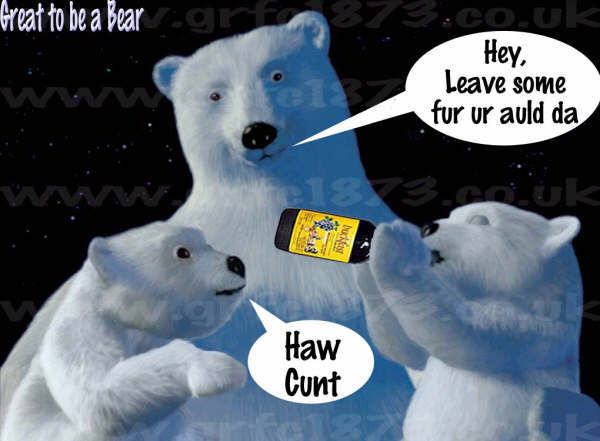 bucky_bear.jpg